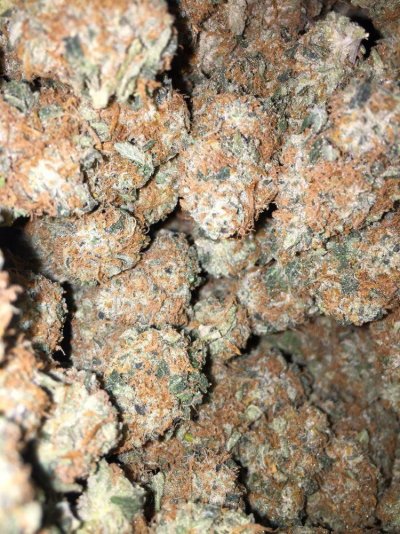 new-here-can-answer-mmj-industry-questions-if-any-are-interested-6.jpg
