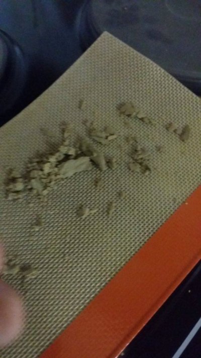 20170614_141602.jpg