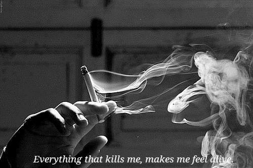 tumblr_n1ey1lZNPD1sqffaqo1_500.jpg