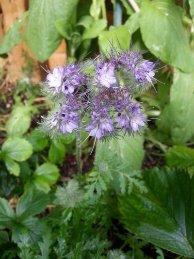 20160714_174522.jpg