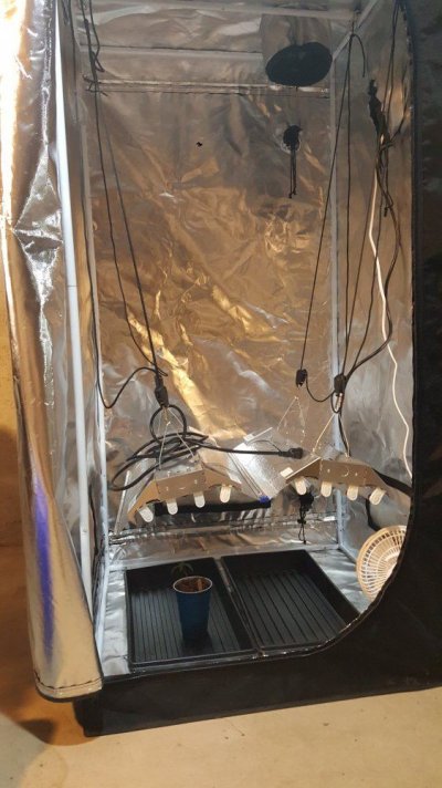 20170624_122329.jpg