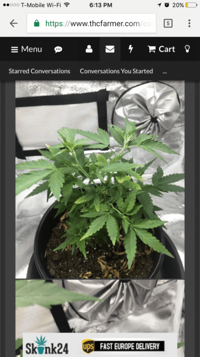 Need Some Help With My Baby