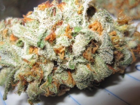 Phantom OG Bud Shots