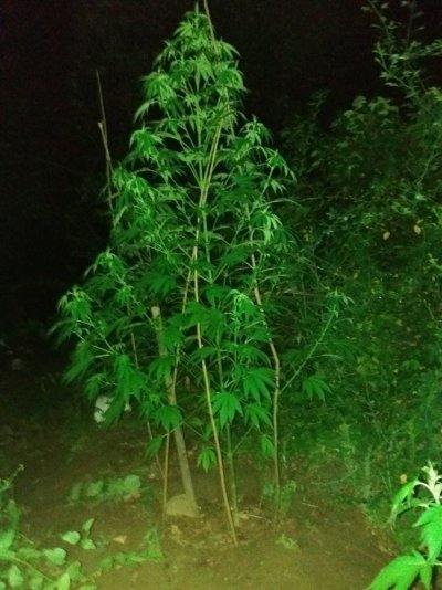 20170718_230954.jpg