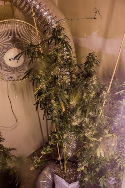 Elmer's Glue 5.5 weeks 1-private.jpg