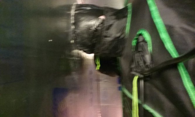 20170805_022603.jpg