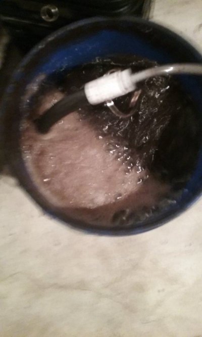 20170805_150744.jpg