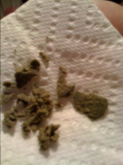 Violator Kush bubble run, 1st timers ahoy