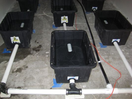 undercurrent-xoxox-and-27-gallon-tubs.jpg