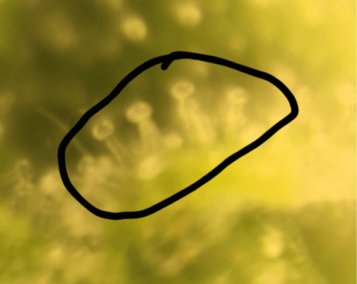 20170810_203731.png