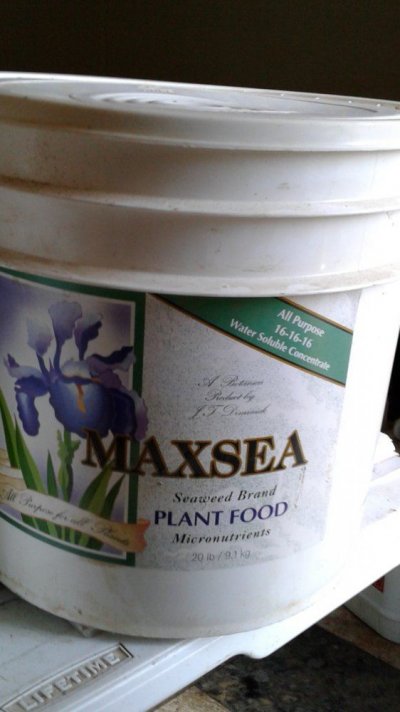 20170814_183615.jpg