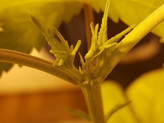 20170817_124728.jpg
