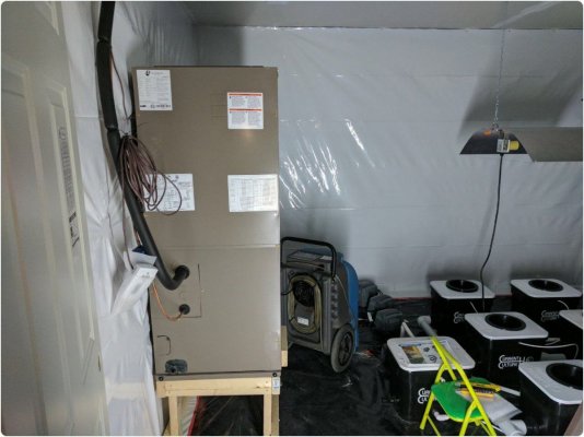 experienced-soilless-grower-new-to-uc-troubleshooting-helpjournal-2.jpg