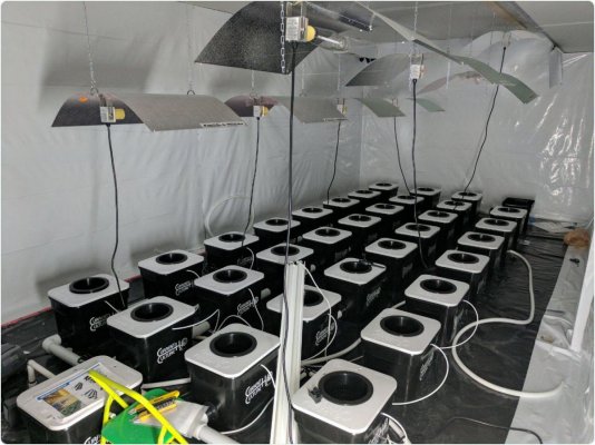 experienced-soilless-grower-new-to-uc-troubleshooting-helpjournal-3.jpg