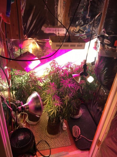 225 Watt Led, Ultra Thin.  Yes Com?