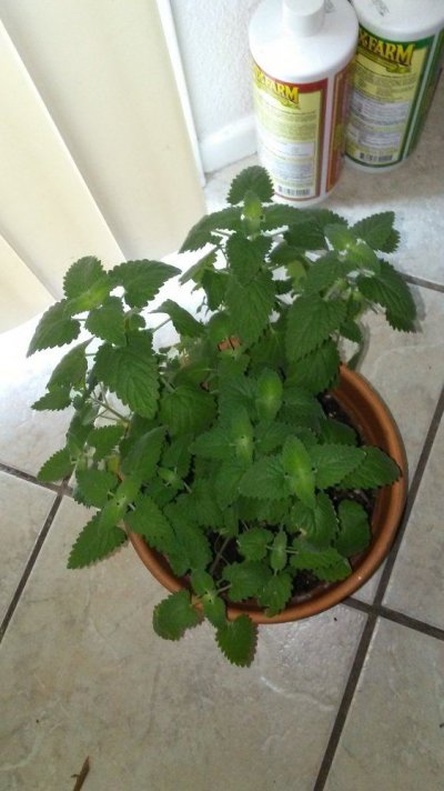 20170902_072021.jpg