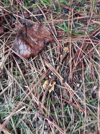 20170902_142234.jpg