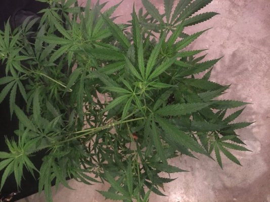 chefs-grow-book-5.jpg