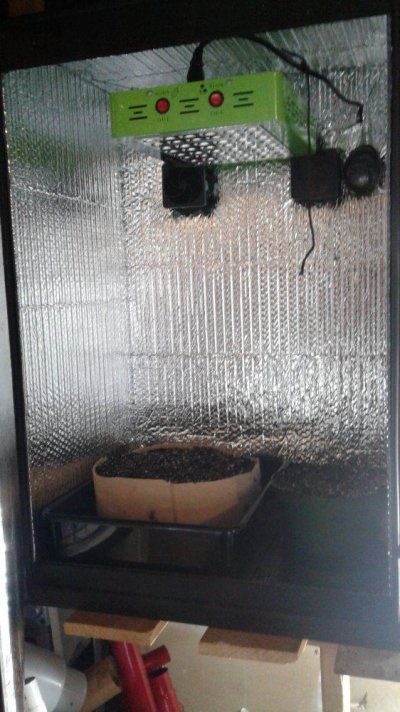 Grow Box...