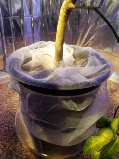 20170902_174117.jpg