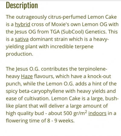 Experience With Lemon Cake Anyone?