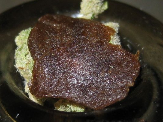 IMG_4923.JPG