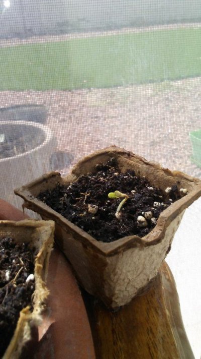20170913_113222.jpg