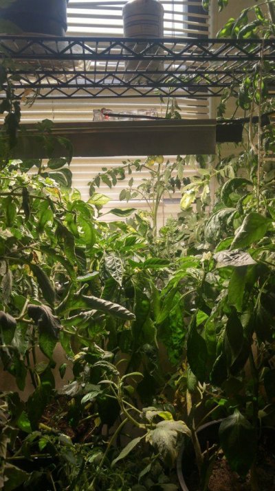 20170914_120646_HDR.jpg
