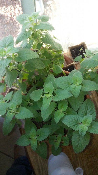 20170914_081330.jpg