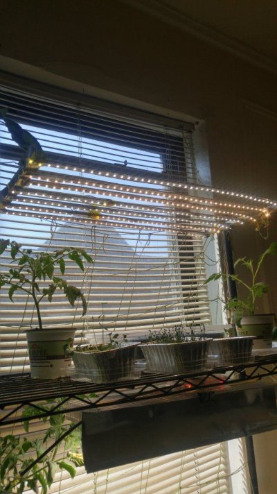 20170915_111237_HDR.jpg