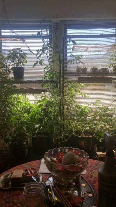 Diy Growgreen 200w Samsung Bd Active Cooling