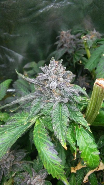 20171002_191320.jpg