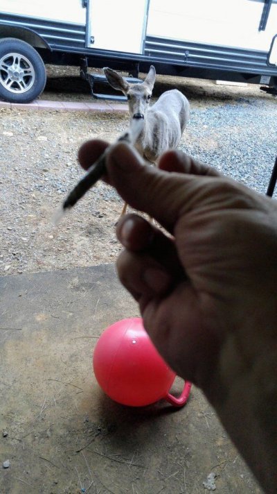 1004171819f.jpg