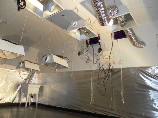 socal-custom-warehouse-grow-need-feed-back-and-good-ideas-also-what-i-am-i-missing-19.jpg