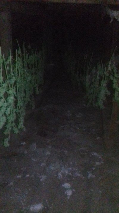 20170928_035452.jpg