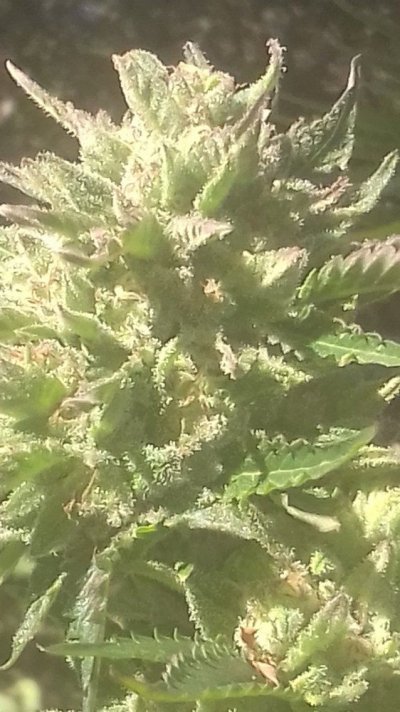 20171010_110747.jpg
