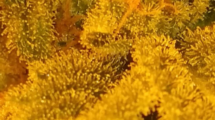 20150326_022756.jpg