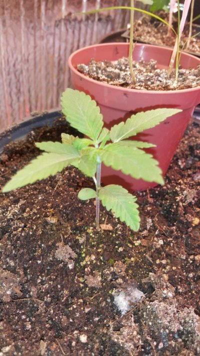20171013_180618.jpg