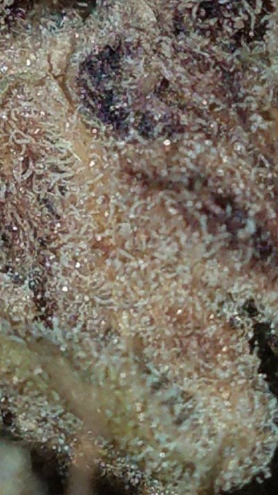 20171014_165249.jpg