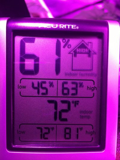 F0087721-06EF-4ADD-B7F3-B9D285AE48FA.jpeg