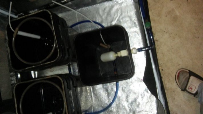 20171119_145515.jpg