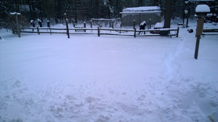 WP_20171209_010.jpg