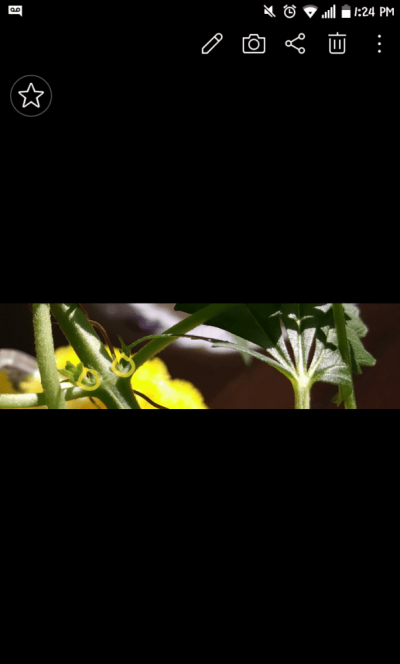 Capture+_2017-12-12-13-24-43.png