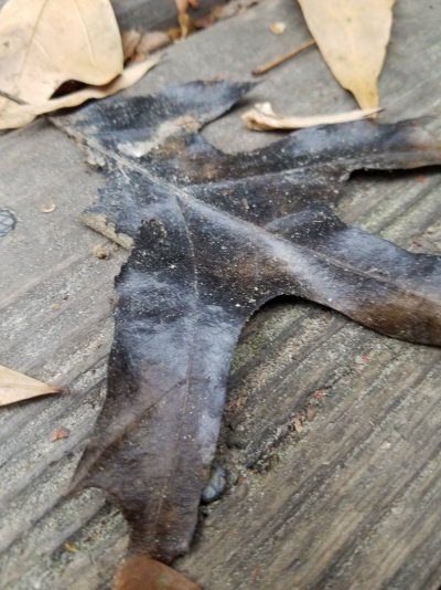 20171223_143059.jpg