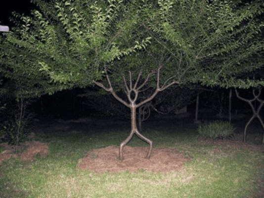 IMG_1280.PNG