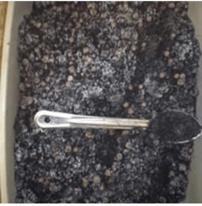 Everyone Uses Microbes, Like It Or Not.