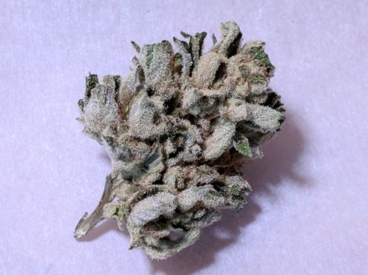 Let's See Your Frostiest Flowers