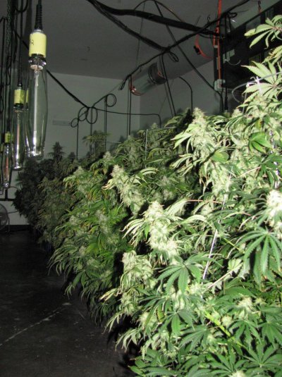 60 X 1000 Watts Under Current Hydro 20 Tons Of Ac And Some Co2