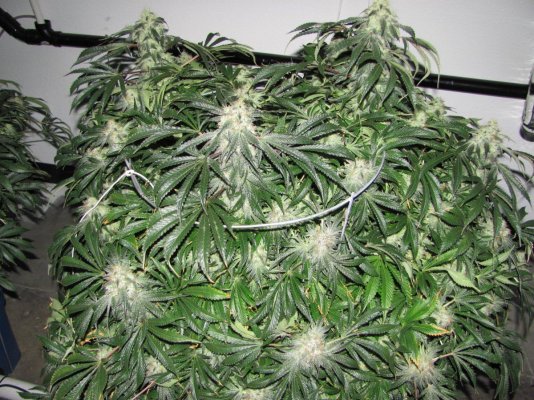60 X 1000 Watts Under Current Hydro 20 Tons Of Ac And Some Co2