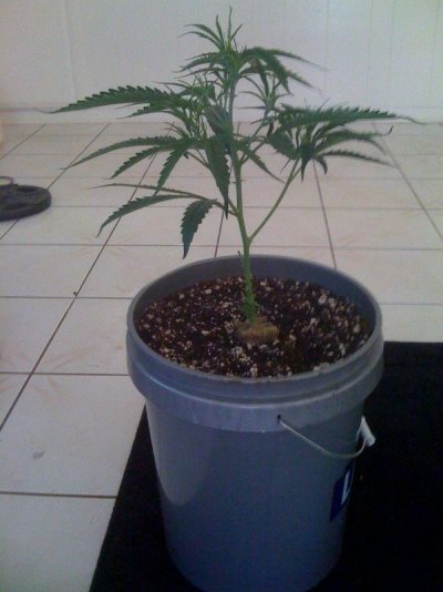 photo (8).jpg